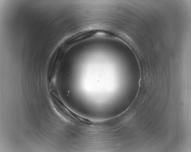 X0000068810530200605081122