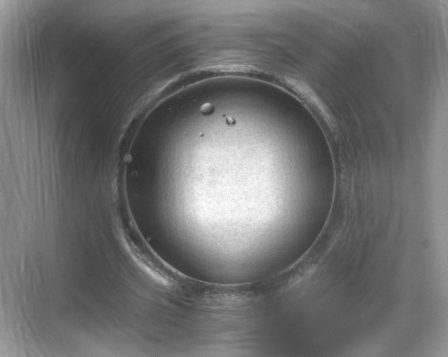 X0000068810533200605081122