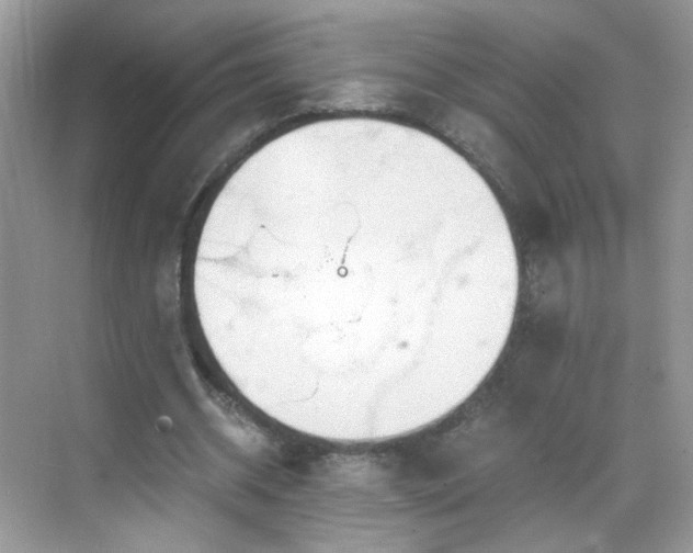 X0000068810534200605081122