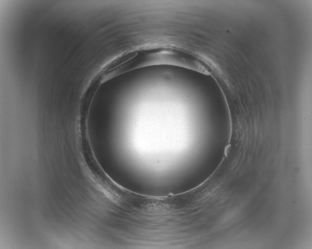 X0000068810535200605081122