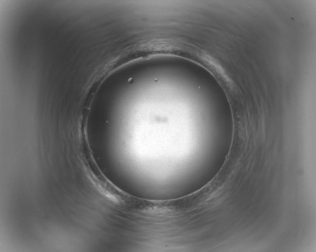 X0000068810537200605081122