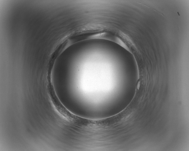 X0000068810538200605081122