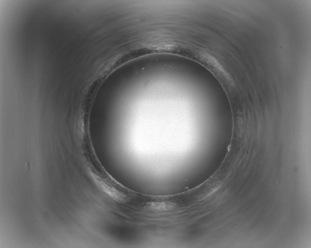 X0000068810541200605081122