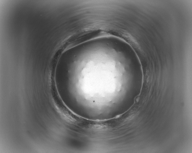 X0000068810542200605081122