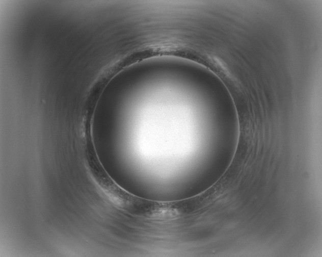 X0000068810543200605081122