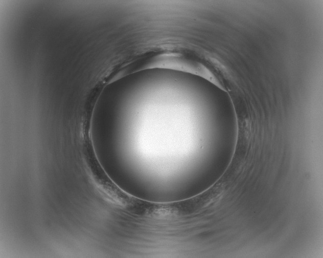 X0000068810546200605081122