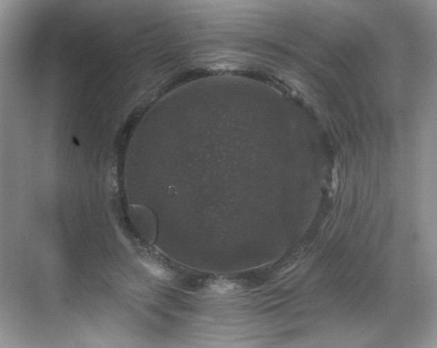 X0000068810547200605081122