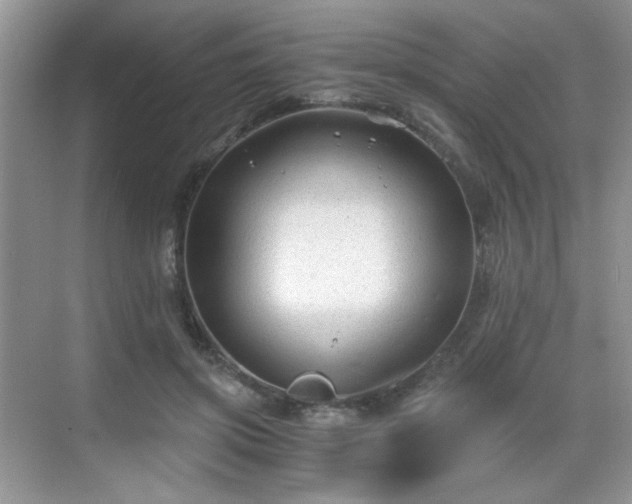 X0000068810549200605081122