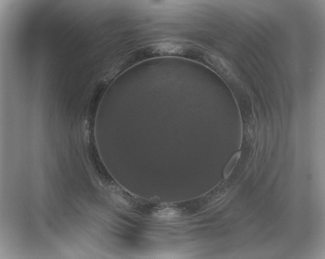 X0000068810551200605081122