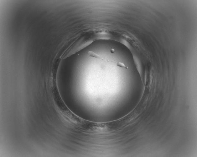 X0000068810552200605081122