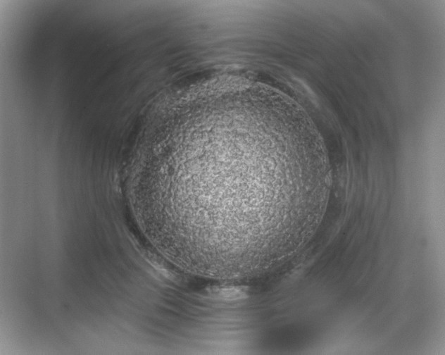 X0000068810553200605081122