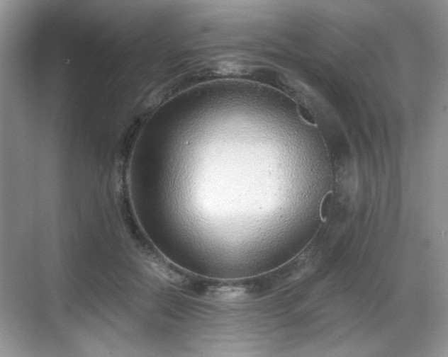 X0000068810554200605081122