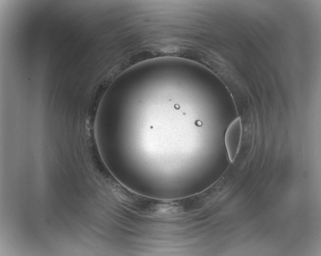 X0000068810555200605081122