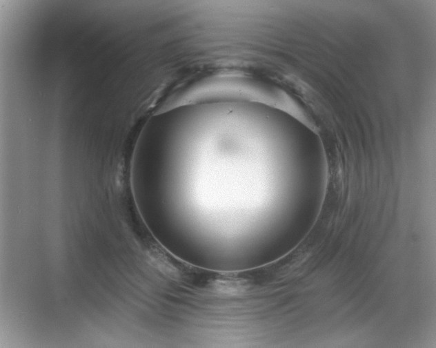 X0000068810556200605081122