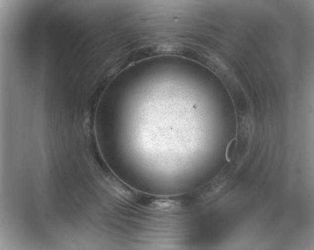 X0000068810557200605081122