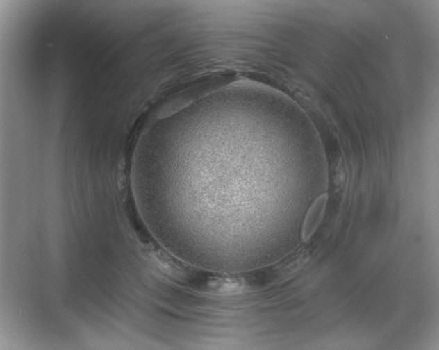 X0000068810559200605081122