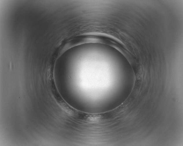 X0000068810560200605081122