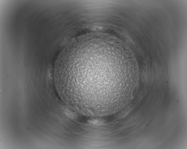 X0000068810561200605081122