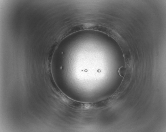 X0000068810565200605081122