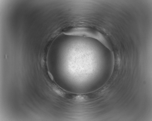 X0000068810566200605081122