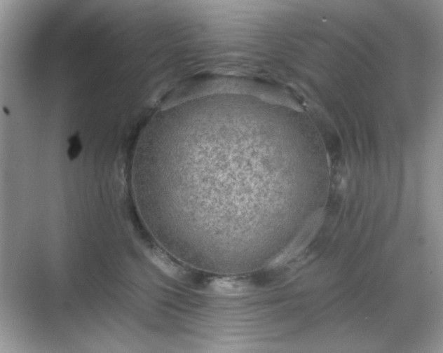 X0000068810568200605081122