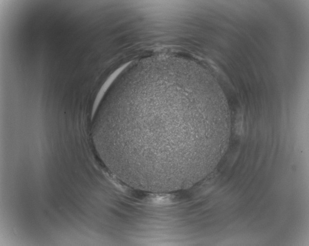 X0000068810569200605081122