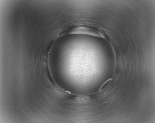 X0000068810571200605081122