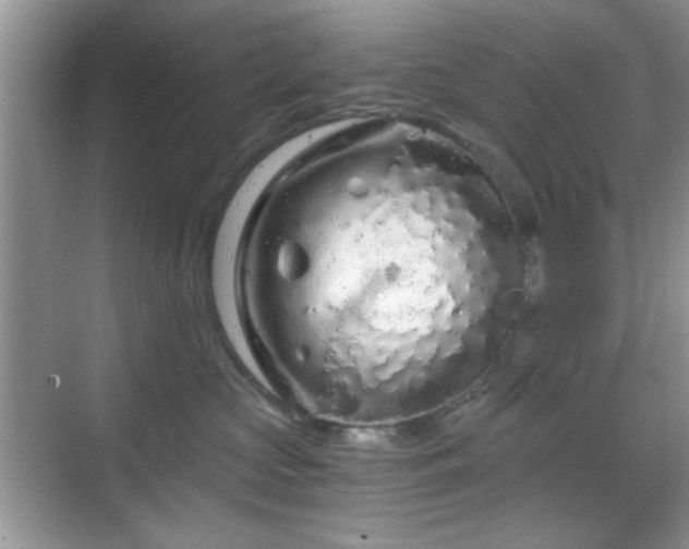 X0000068810573200605081122