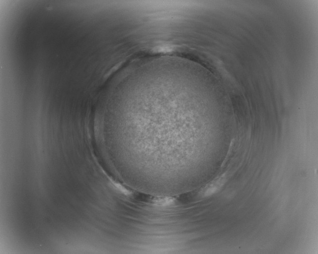 X0000068810576200605081122