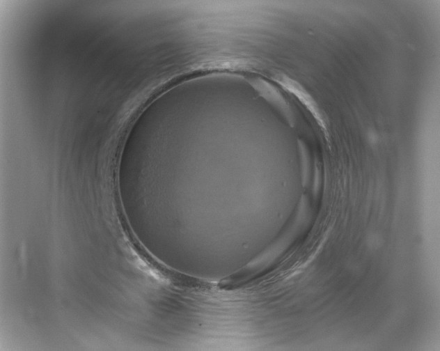 X0000068810577200605081122