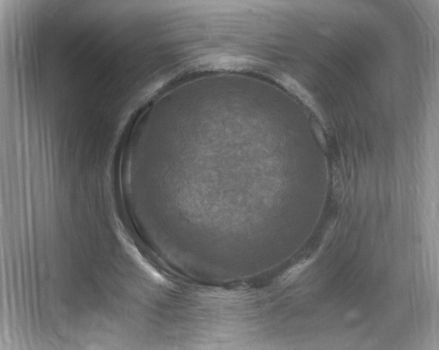 X0000068810581200605081122