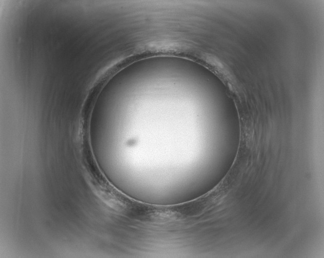 X0000068810583200605081122