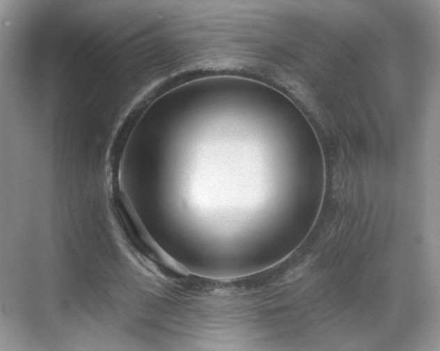 X0000068810584200605081122