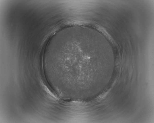 X0000068810585200605081122