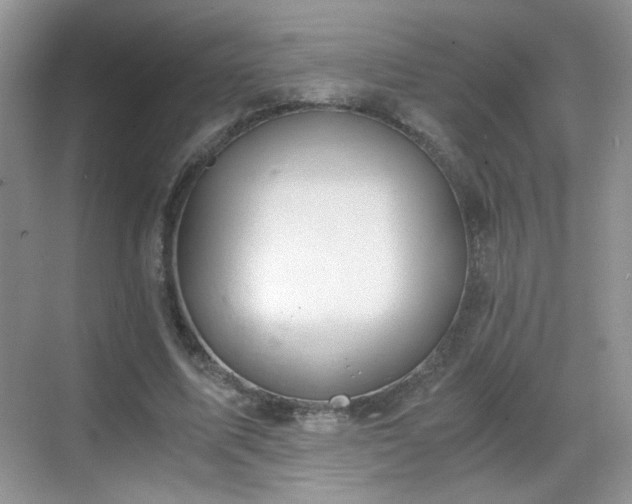 X0000068810587200605081121