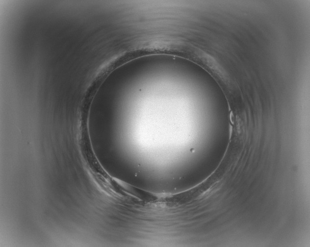 X0000068810588200605081121