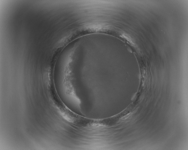 X0000068810590200605081121