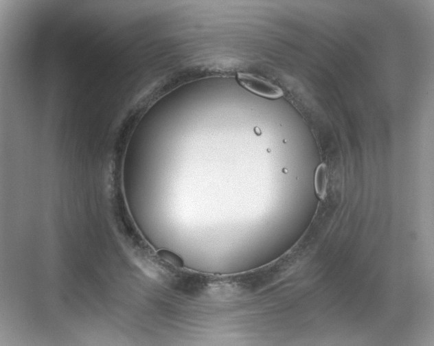 X0000068810591200605081121