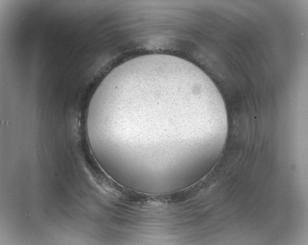 X0000068810592200605081121