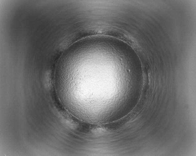 X0000068810594200605081121