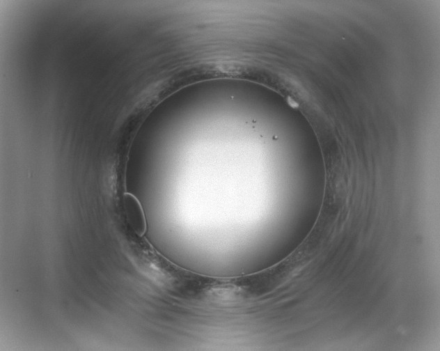 X0000068810595200605081121