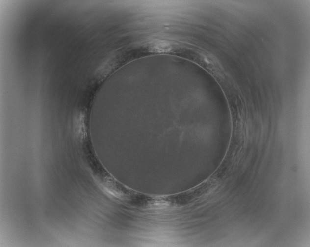 X0000068810598200605081121