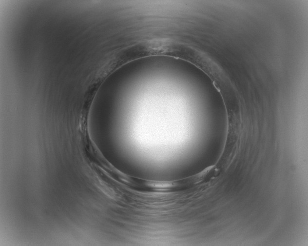 X0000068810601200605081121