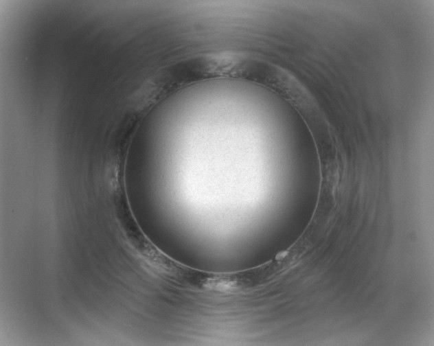 X0000068810602200605081121