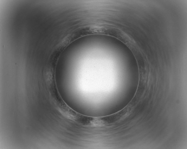 X0000068810603200605081121