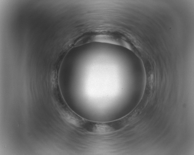 X0000068810605200605081121