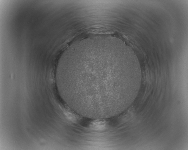 X0000068810606200605081121