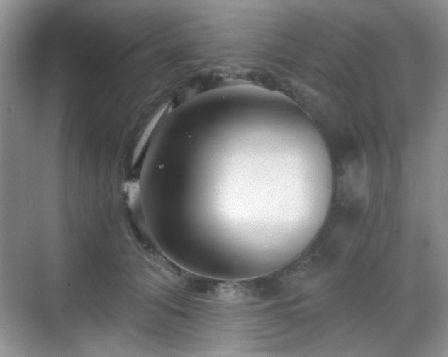 X0000068810608200605081121