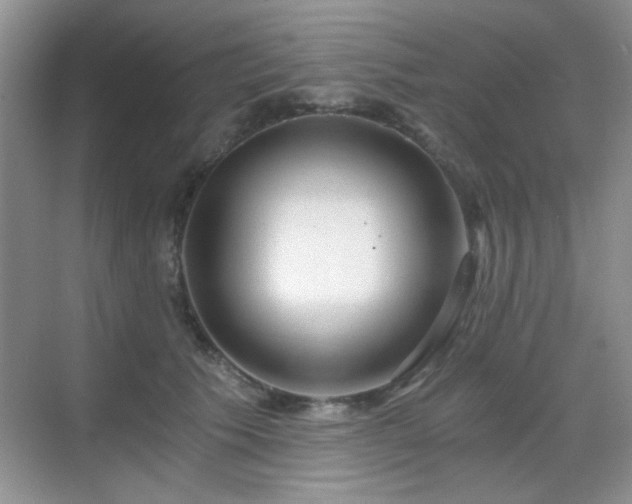 X0000068810609200605081121