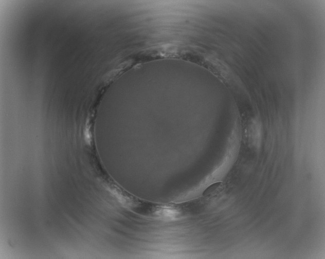 X0000068810610200605081121